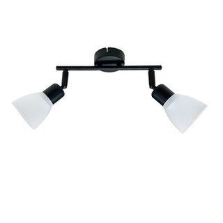 Lampa sufitowa Costa listwa ze szklanymi kloszami regulowana 2-punktowa