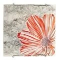 Plafon Spring kwadratowy do kuchni i łazienki 30 cm czerwony E27
