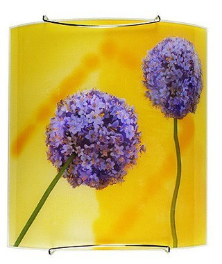 Kinkiet Garlic szklany wielokolorowy do salonu i kuchni E27 Candellux